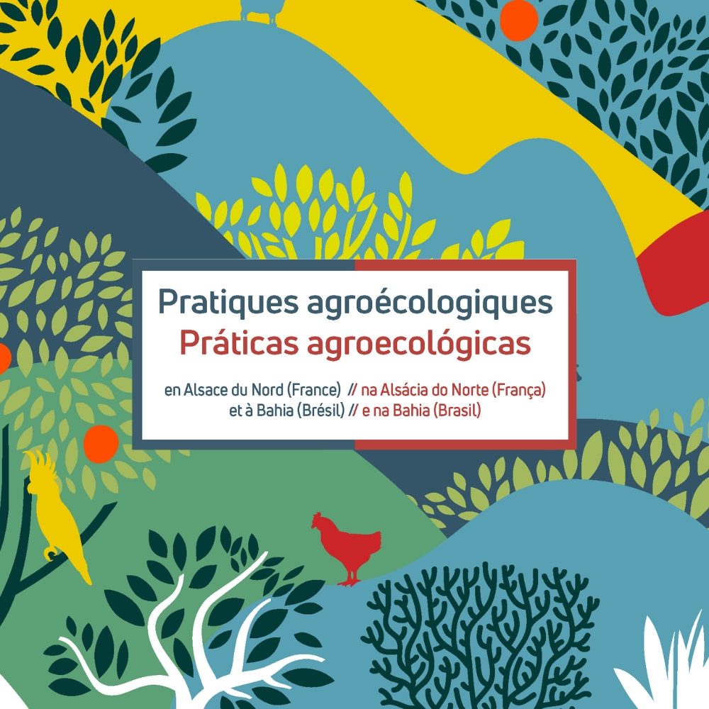 Projet agroforesterie ipe